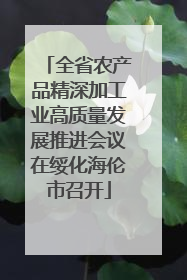 全省农产品精深加工业高质量发展推进会议在绥化海伦市召开